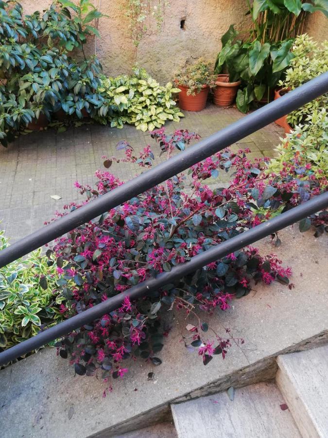 Tra Gianicolo E Trastevere Roma Eksteriør bilde