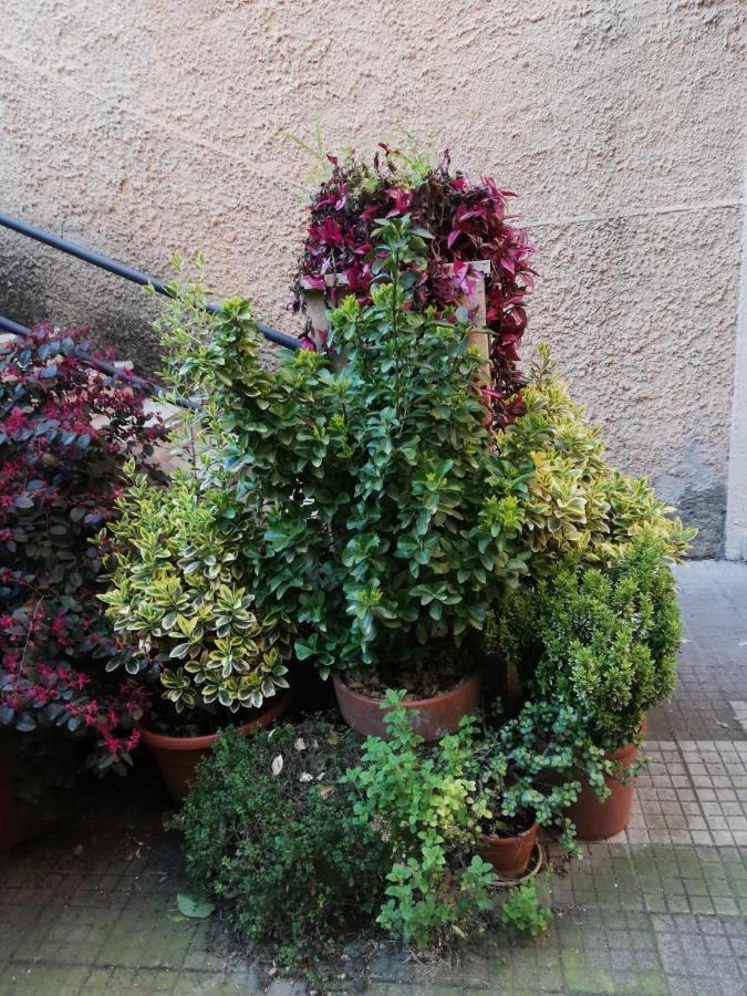 Tra Gianicolo E Trastevere Roma Eksteriør bilde